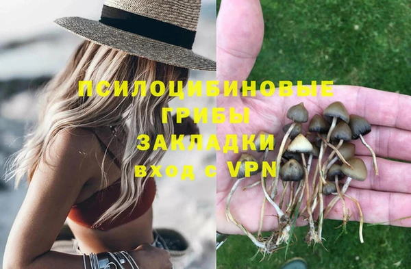 альфа пвп Бородино