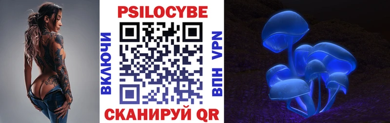 Псилоцибиновые грибы MAGIC MUSHROOMS  купить  цена  mega онион  Норильск 